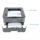 Máy in laser trắng đen Brother HL-L2361DN